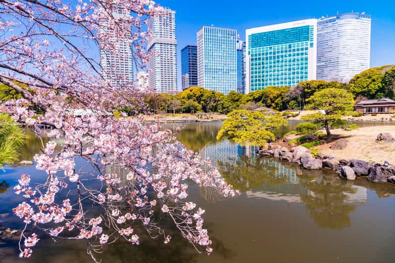 Tokyo: Hama-rikyu Gardens tour with Japanese Tea & Sweets - What I’d tell a friend: should you book?
