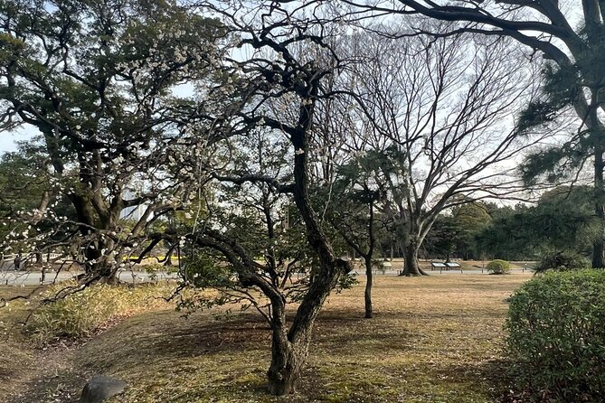 Tokyo: Hama-rikyu Gardens tour with Japanese Tea & Sweets - Tips to get the most from your photos and your attention span