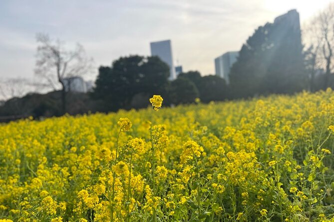 Tokyo: Hama-rikyu Gardens tour with Japanese Tea & Sweets - The guided garden walk: Karesansui and Kaiyushiki in plain terms