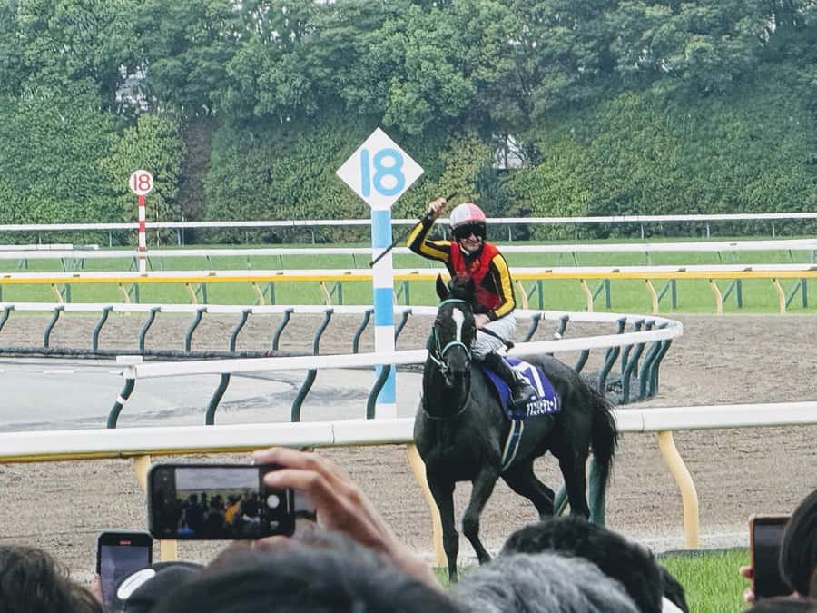 Tokyo: Horse Racing Tour with Local Fan - Why Japanese Horse Racing in Tokyo Feels So Different
