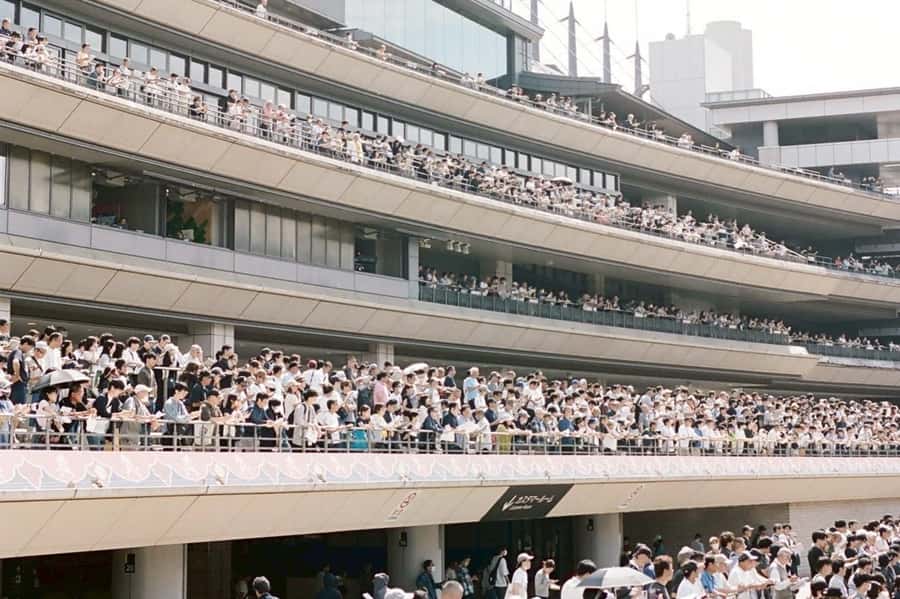 Tokyo: Horse Racing Tour with Local Fan - The Real Value: Learning the Rules and Betting in English