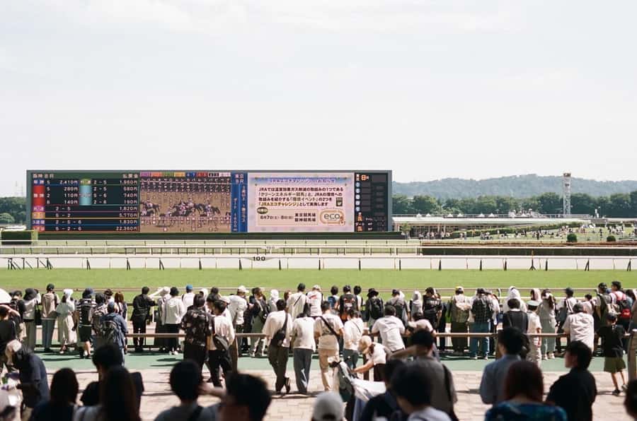 Tokyo: Horse Racing Tour with Local Fan - Meeting Up and Getting Your Reserved Seat Ticket