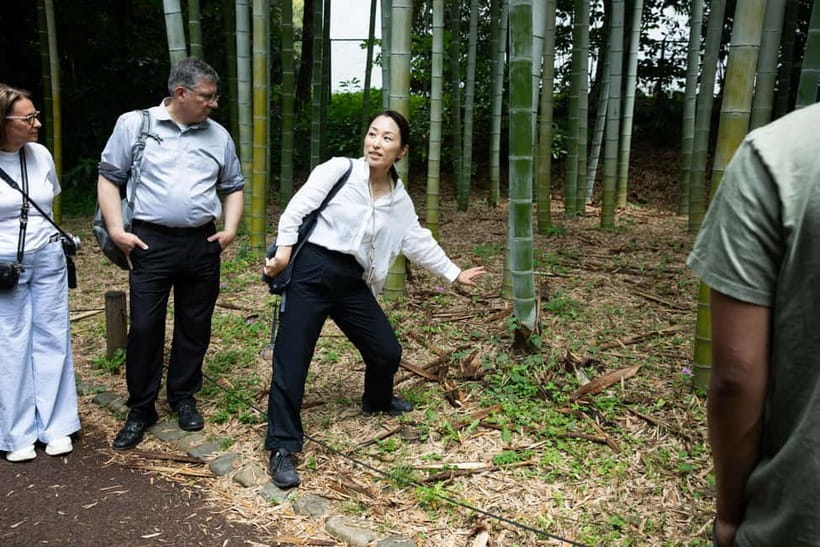 Tokyo: Imperial Palace East Gardens Walking Tour - Value for $19: What You’re Paying For (and What You’re Not)
