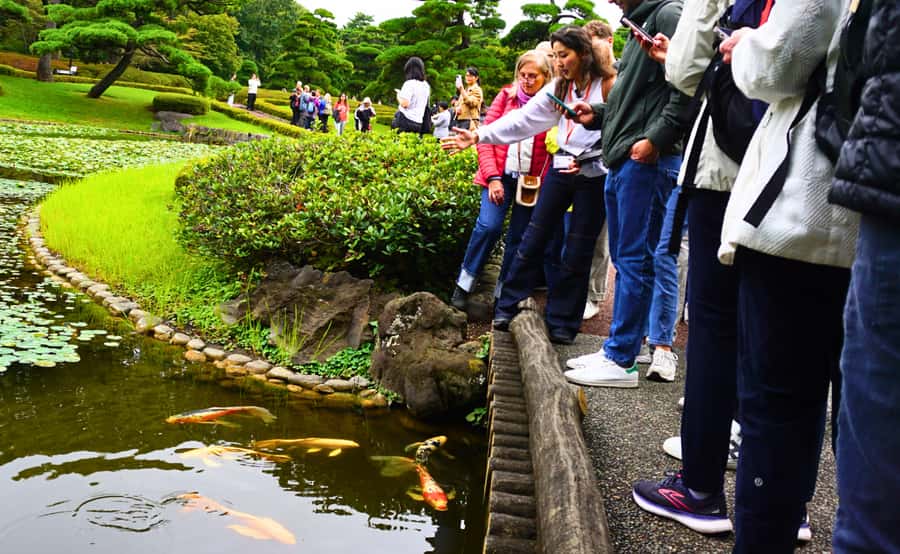 Tokyo: Imperial Palace Japanese History Walking Tour - Meeting at Starbucks near Wadakuramon Fountain: quick start, clear direction