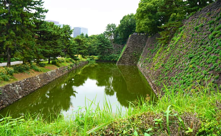 Tokyo: Imperial Palace, the history of Japan (ENGLISH GUIDE) - Photo Stops: Where to Point the Camera Without Guessing