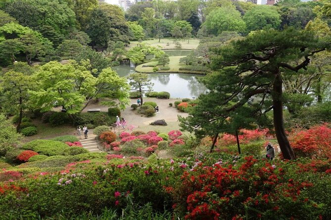Tokyo Japanese Garden Lover's Private Tour with Government-Licensed Guide - Key things that make this Tokyo garden tour work