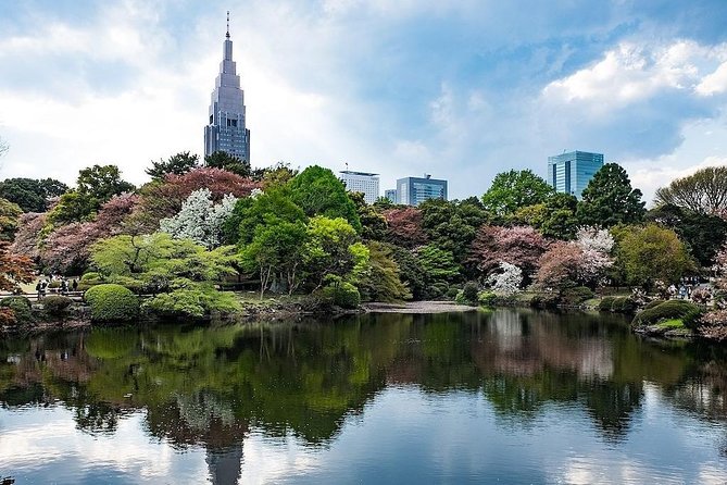 Tokyo Japanese Garden Lover's Private Tour with Government-Licensed Guide - A private Tokyo Japanese garden day that’s actually designed for your taste