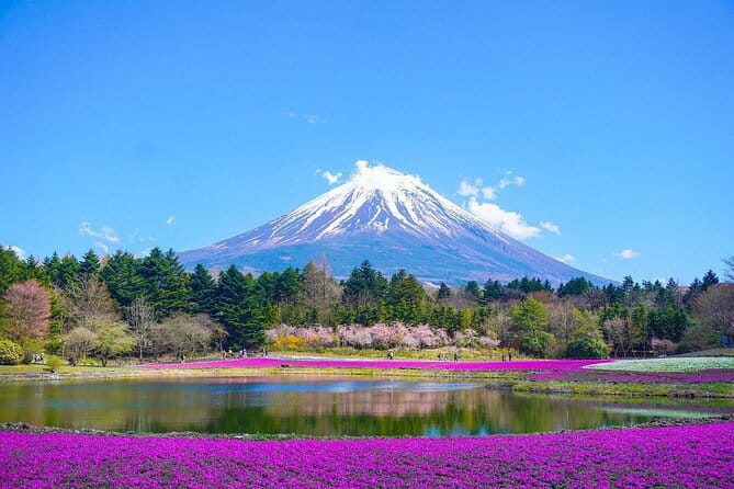 Tokyo JDM Experience: Daikoku PA & Fast & Furious Night Drive - Price and value: is $164.72 per person a good deal?