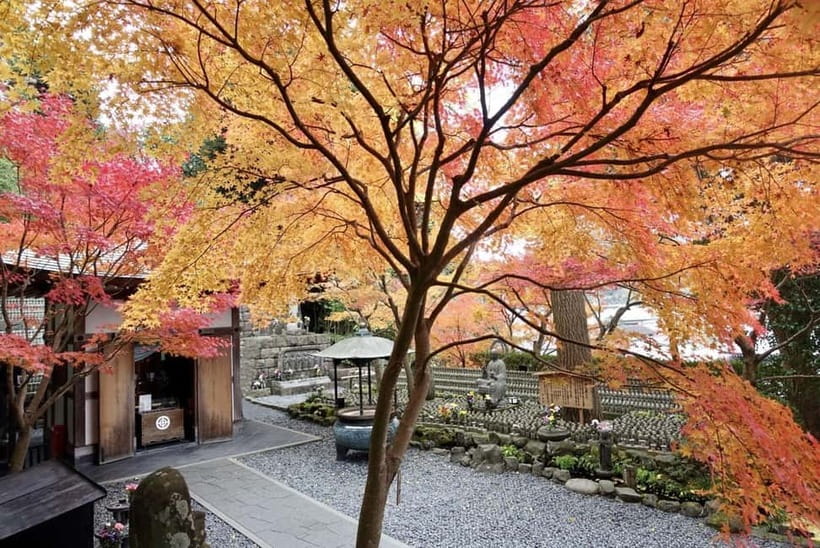 Tokyo: Kamakura & Enoshima Day Trip including Temple Tickets - Tsurugaoka Hachimangu: the samurai-era shrine you’ll recognize instantly