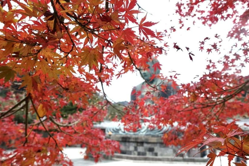 Tokyo: Kamakura & Enoshima Day Trip including Temple Tickets - Komachi Street: snacks, souvenirs, and the best “in-between” time