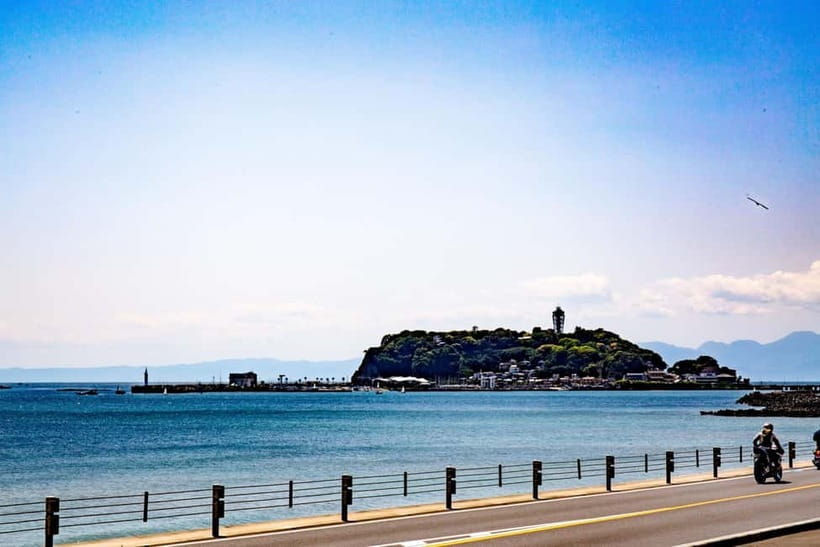 Tokyo: Kamakura & Enoshima Day Trip including Temple Tickets - Meeting in Shinjuku and staying calm on a group bus day