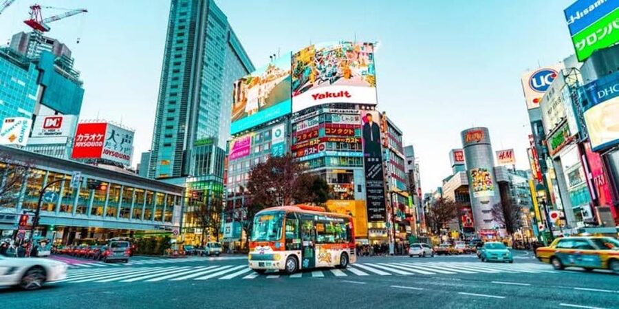 Tokyo:Luxury Private Tour with English-Speaking driver - Key highlights you’ll feel right away