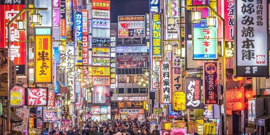Tokyo:Luxury Private Tour with English-Speaking driver - A private day in Tokyo without the station-stress