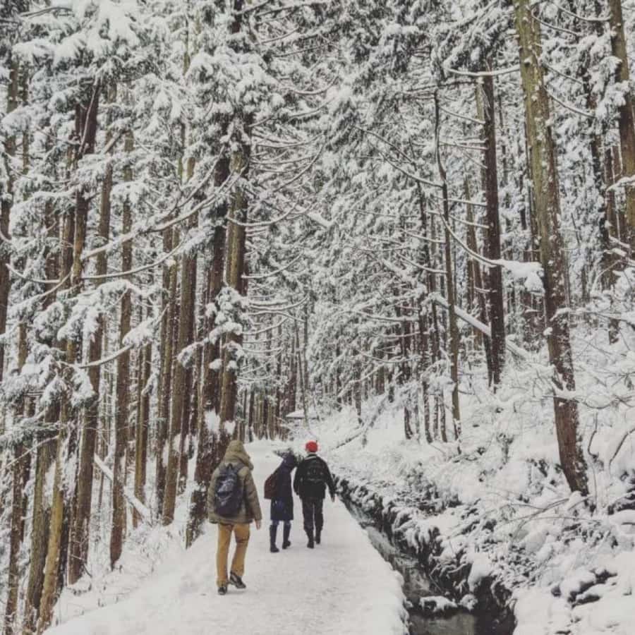 Tokyo: Luxury Snow Monkey Park Private Tour In Land Cruiser - Why Zenkoji Temple Timing Works in a Long Day