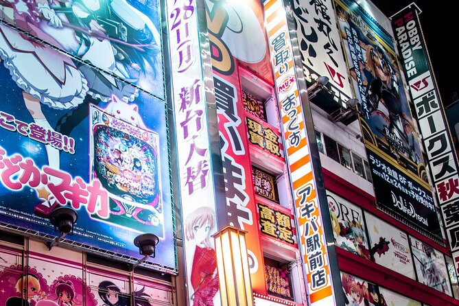Tokyo Made Easy | Private Chauffeur Day Adventure | Car and Guide - Who this Tokyo day tour suits best (and who should think twice)