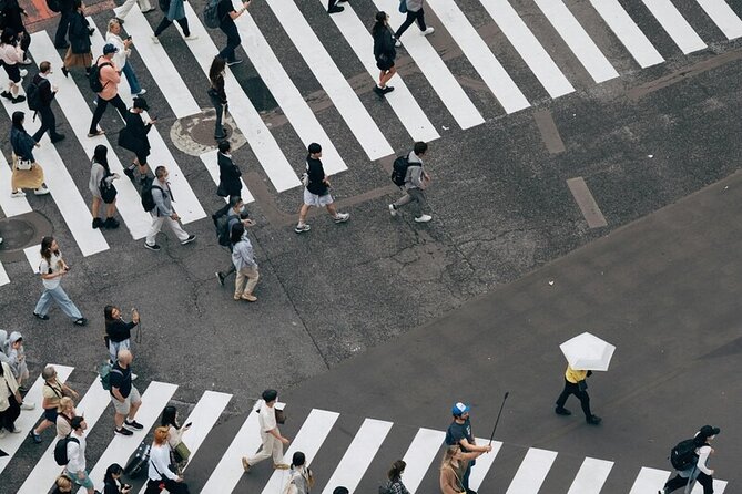 Tokyo Made Easy | Private Chauffeur Day Adventure | Car and Guide - Tsukiji Fish Market to Senso-ji: a morning shortcut to real Tokyo