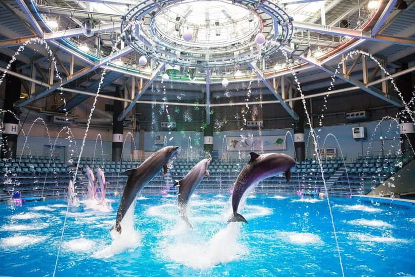 Tokyo: Maxell Aqua Park Shinagawa Direct Entry Ticket - Shinagawa Access and a Fully Indoor Aquarium