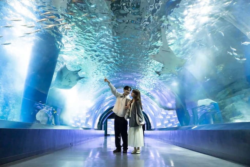 Tokyo: Maxell Aqua Park Shinagawa Direct Entry Ticket - How the Aquarium Uses Digital Seasons and Performances