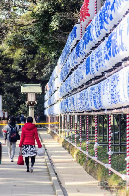 Tokyo: Meiji Jingu, Harajuku, Shibuya, and Shijuku Tour - How West Tokyo Fits Into One 4-Hour Private Ride