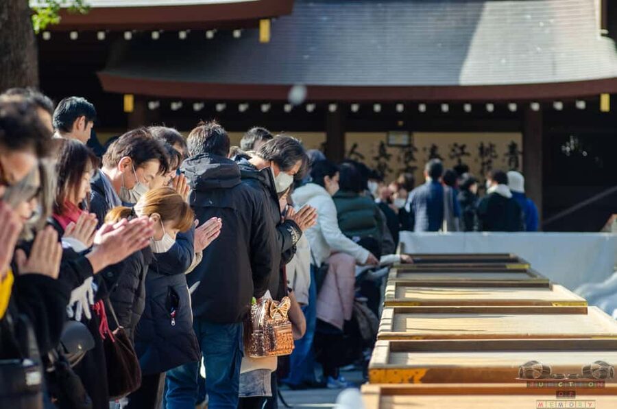 Tokyo: Meiji Jingu, Harajuku, Shibuya, and Shijuku Tour - Optional Animal or Snake Café: Silly Fun With a Time and Fee Trade-Off