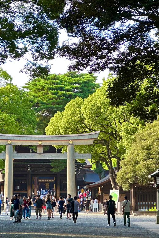 Tokyo: Meiji Jingu Shrine and Shinto Culture Walking Tour - Guides make the difference: what excellent Q&A looks like