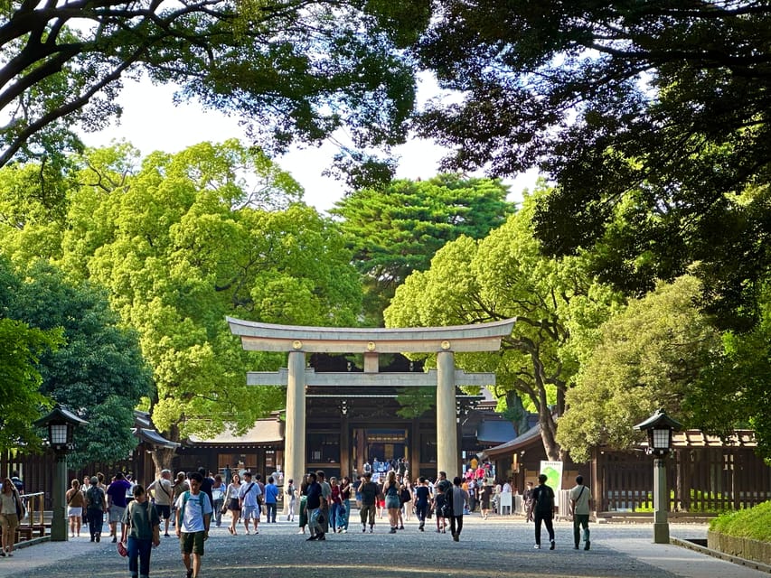Tokyo: Meiji Jingu Shrine and Shinto Culture Walking Tour - The serene forest effect: 100,000 trees and the gift of time