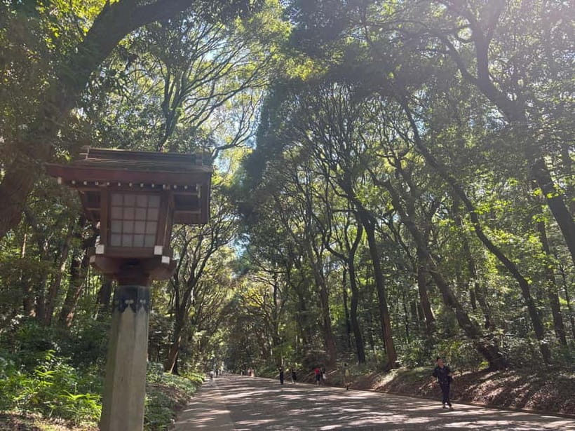 Tokyo: Meiji Jingu, Yoyogi Park & Takeshita Street Tour - Why Harajuku, Meiji Jingu, Yoyogi Park, and Omotesando make a smart 3-hour plan