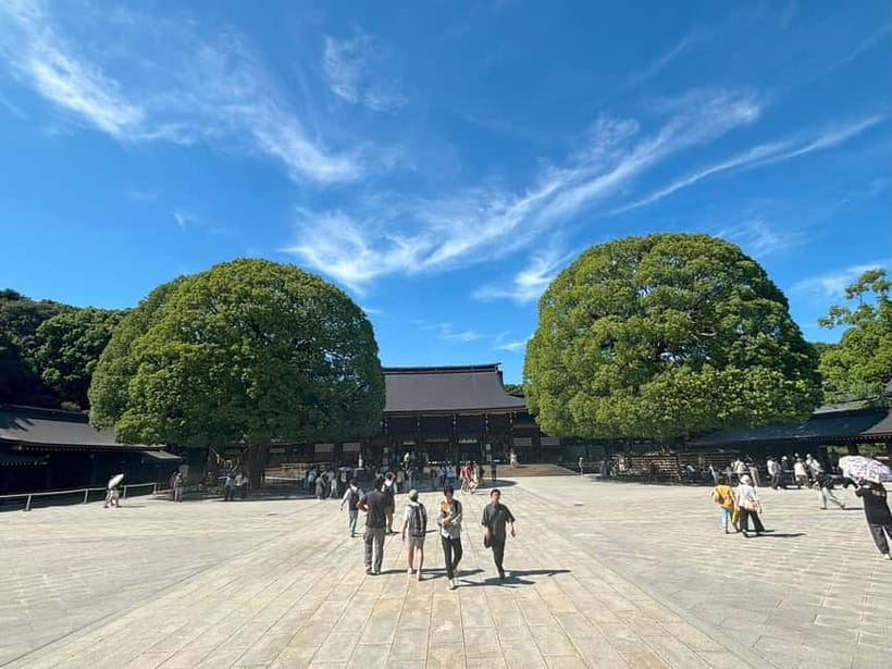 Tokyo: Meiji Jingu, Yoyogi Park & Takeshita Street Tour - Yoyogi Park: the short green pause that keeps the day from feeling heavy