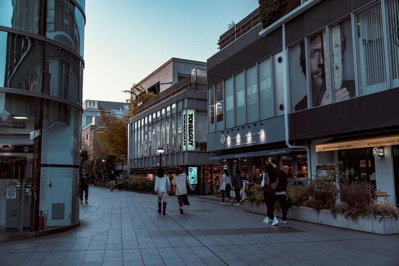 Tokyo: Meiji Jingu, Yoyogi Park & Takeshita Street Tour - Guide quality is the real value add (names you might hear)