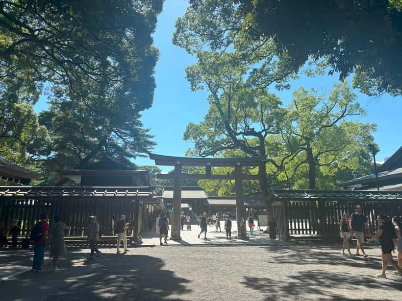 Tokyo: Meiji Jingu, Yoyogi Park & Takeshita Street Tour - Price and value: is $36 fair for 3 hours in central Tokyo?