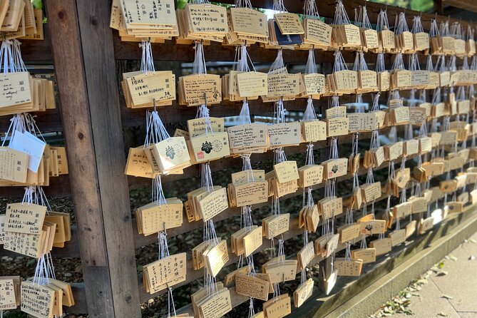 Tokyo: Meiji Shrine and Shinto Culture Walking Tour - Why the 2-hour format feels like good value