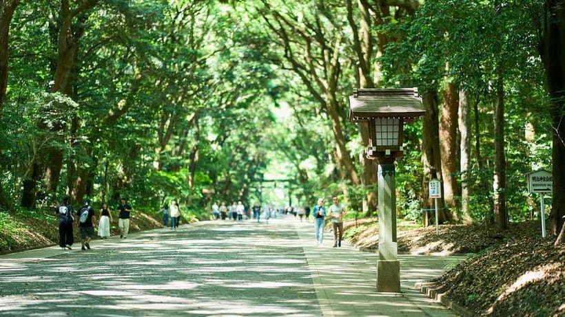 Tokyo: Meiji Shrine Walking Tour — Shinto & Imperial System - Harajuku Station Start, Then the Walk Into Silence