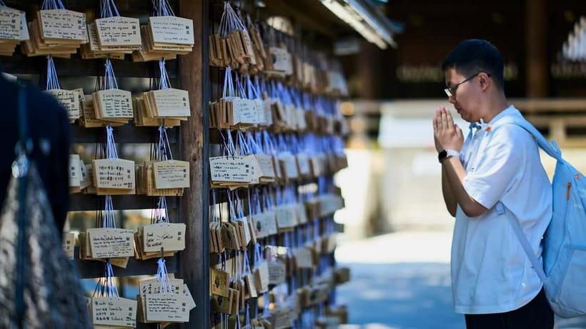 Tokyo: Meiji Shrine Walking Tour — Shinto & Imperial System - Café Mori no Terrace at Forest Terrace Meiji Jingu: A Calm Finish