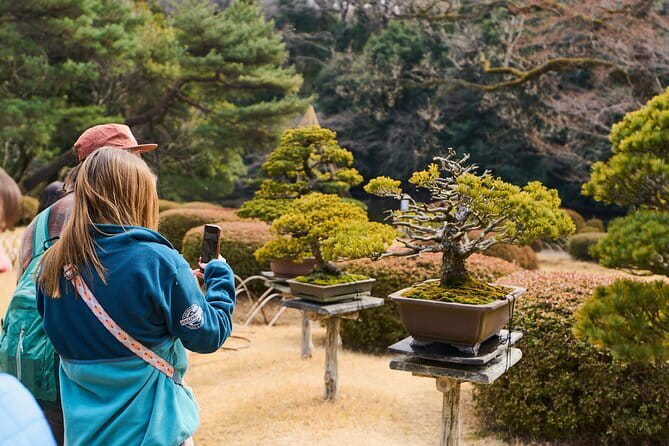 Tokyo: Meiji Shrine Walking Tour — Shintoism & Imperial System - Why Meiji Shrine feels like a Tokyo reset