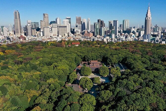 Tokyo: Meiji Shrine Walking Tour — Shintoism & Imperial System - The forest approach and the Harajuku Gate entrance