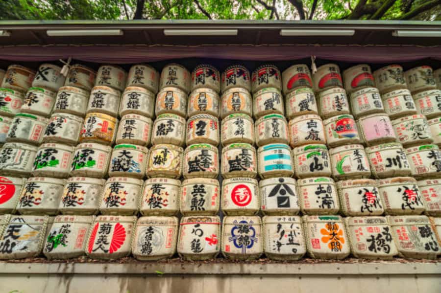Tokyo: Meiji Shrine Walking Tour with Local Guide - Outer Worship Hall: where locals make wishes and offer respect