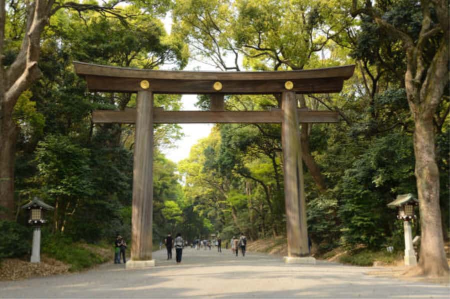 Tokyo: Meiji Shrine Walking Tour with Local Guide - The Imperial Fishing Platform: a quiet corner with a royal angle