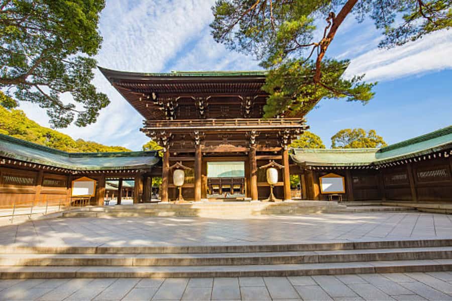 Tokyo: Meiji Shrine Walking Tour with Local Guide - The main hall area, plus turtle stone and sazare stone