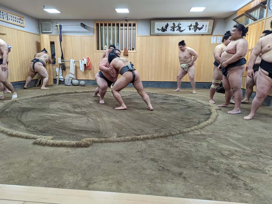 Tokyo: Morning Sumo Practice Viewing - Why Morning Practice Feels Different Than Sumo Shows