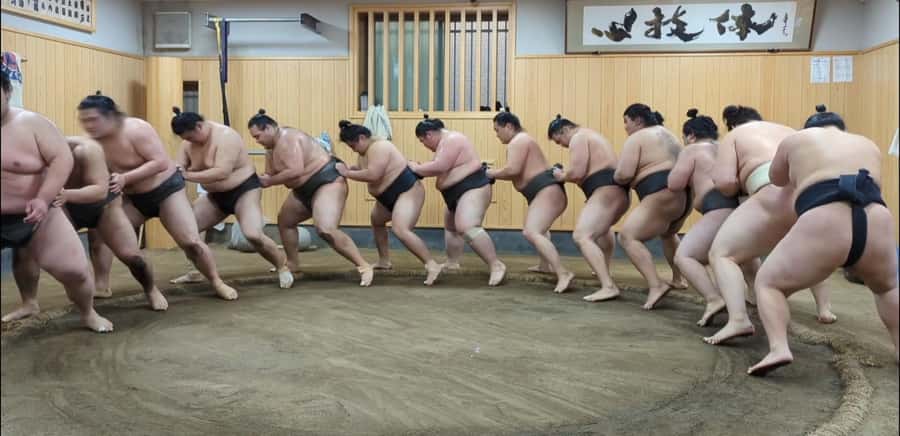 Tokyo: Morning Sumo Practice Viewing - Inside the Stable: Watching Top-Division Rikishi Train