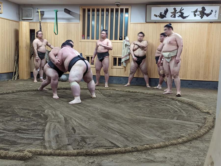 Tokyo: Morning Sumo Practice Viewing - Small Group Advantage: Why Max 8 Matters Here