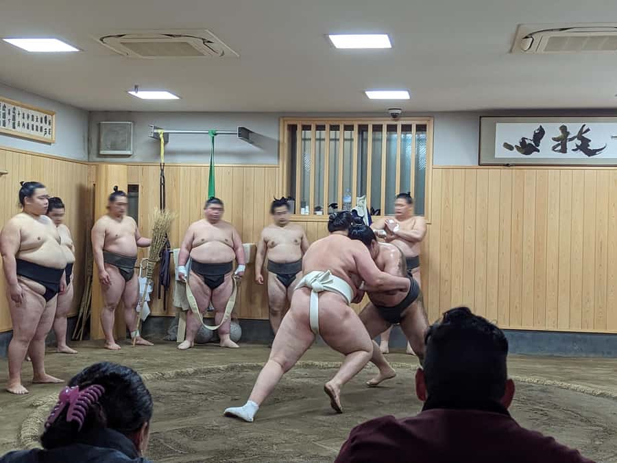 Tokyo: Morning Sumo Practice Viewing - Meeting at Hanami Zaka Square (Skytree Station): Getting There Without Stress