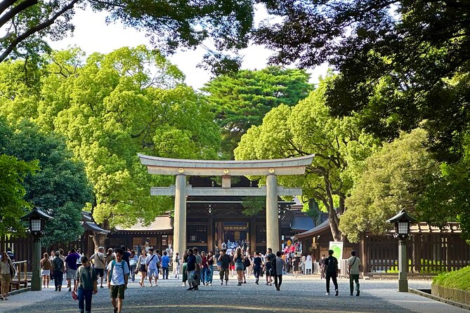Tokyo Morning Tour: Asakusa, Meiji Shrine and Tsukiji Fish Market - Key Points Worth Getting Excited About