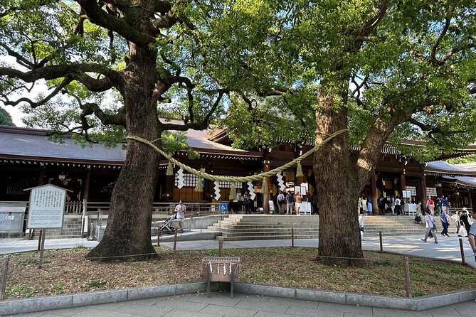 Tokyo Morning Tour: Asakusa, Meiji Shrine and Tsukiji Fish Market - Value Check: Is $157 a Fair Deal?