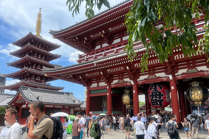 Tokyo Morning Tour: Asakusa, Meiji Shrine and Tsukiji Fish Market - Stop 1: Meiji Jingu Shrine and the Peace-First Strategy