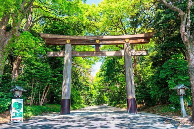 Tokyo Morning Tour : Meiji Shrine, Asakusa and Fish Market - Meiji Jingu Shrine: A Calm Start Under Torii Gates
