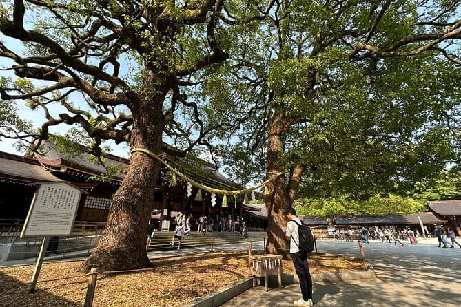 Tokyo Morning Tour : Meiji Shrine, Asakusa and Fish Market - Price and Value: What $72.67 Buys You