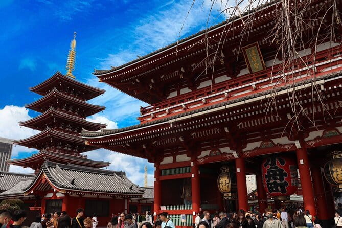 Tokyo Morning Tour : Meiji Shrine, Asakusa and Fish Market - Timing, Meeting Point, and How to Plan Your Morning