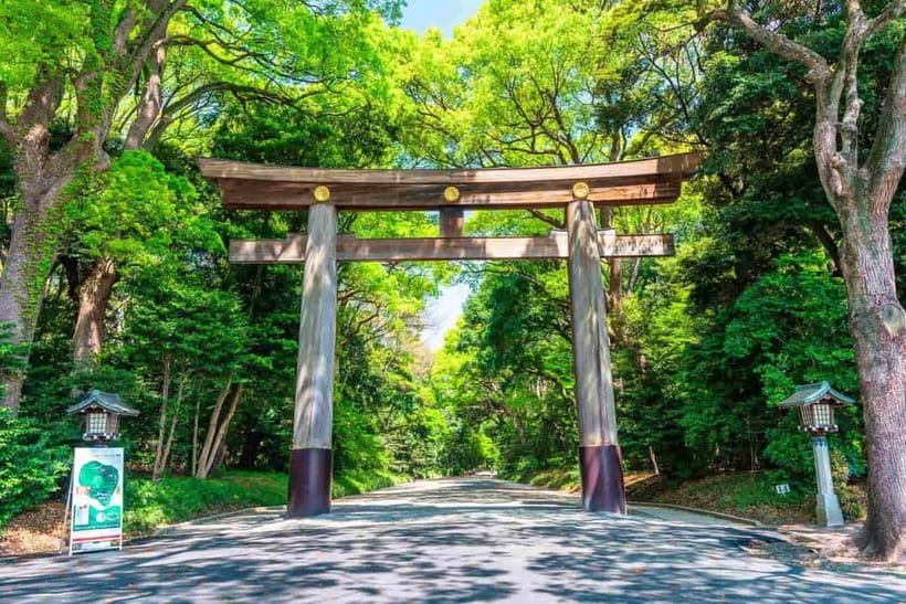 Tokyo Morning Tour: Meiji Shrine, Asakusa & Fish Market - Meiji Shrine in the morning: peace, rituals, and Shinto basics