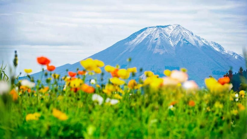 Tokyo: Mount Fuji 5th Station & Onsen Day Trip - Mt. Fuji 5th Station at 2,300m: The Photo Stop That Changes Everything